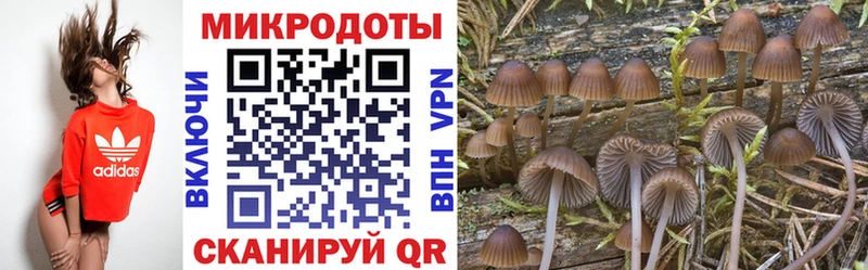 mega как войти  Зея  Галлюциногенные грибы мухоморы 