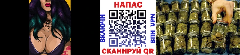 Шишки марихуана Amnesia  цены   Зея 